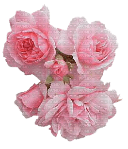 rosas - ücretsiz png
