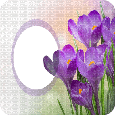 cadre, frame,spring,fleur,Pelageya - gratis png
