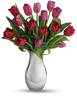 Kaz_Creations  Flowers Vase - zdarma png