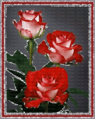 cecily-fond animé roses - GIF animé gratuit