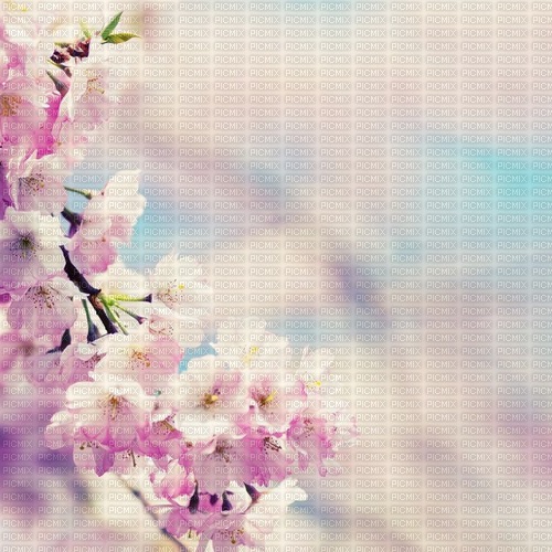 Background Spring - gratis png
