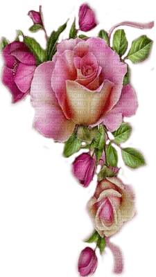 flower pink by nataliplus - nemokama png