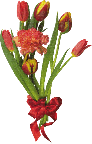 Blumen, Tulpen, Flowers - GIF animado grátis