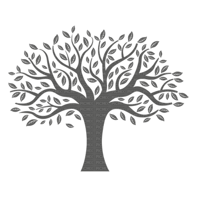 tree black silhouette - бесплатно png