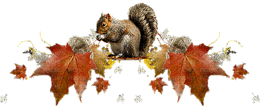 autumn deco squirrel  sunshine3 - GIF animado gratis