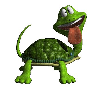 turtle - GIF animé gratuit