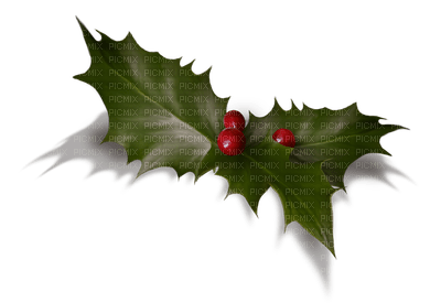 christmas anastasia - png grátis