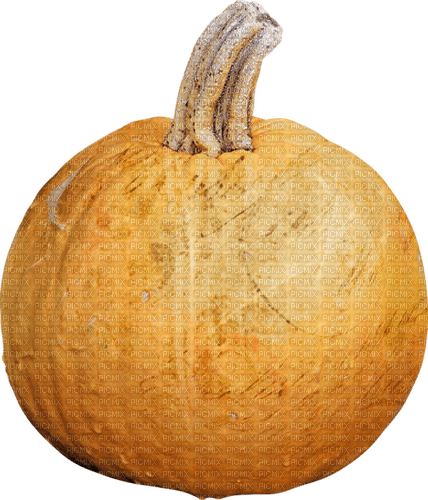 autumn pumpkin deco orange kikkapink - PNG gratuit
