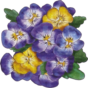 kikkapink vintage flowers deco - png gratis