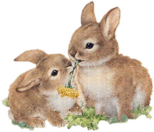 easter eggs rabbit vintage deco - ingyenes png