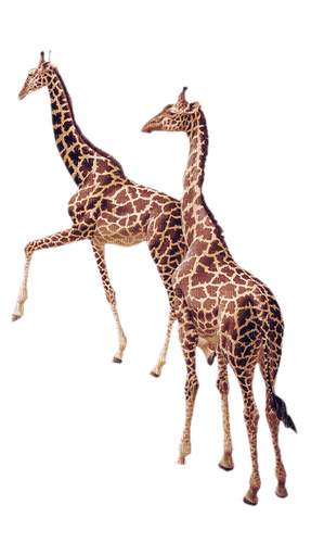 Giraffen - nemokama png