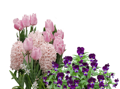 kukka  flower fleur - ingyenes png