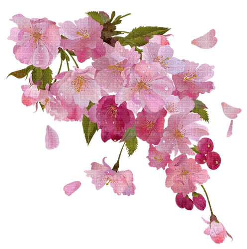 aquarelle, été, fleur, Orabel - PNG gratuit