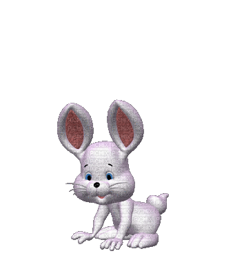 MMarcia gif coelho rabbit mignon - Gratis animerad GIF