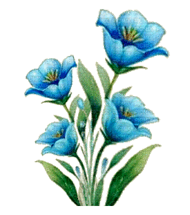 nbl-flowers - Ingyenes animált GIF
