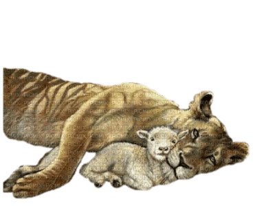 The Lion and the Lamb bp - Free PNG
