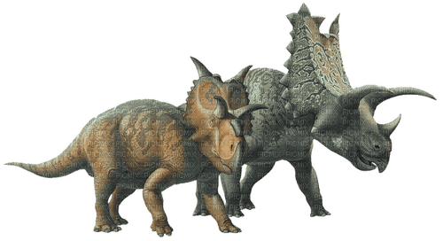 Triceratops milla1959 - png ฟรี