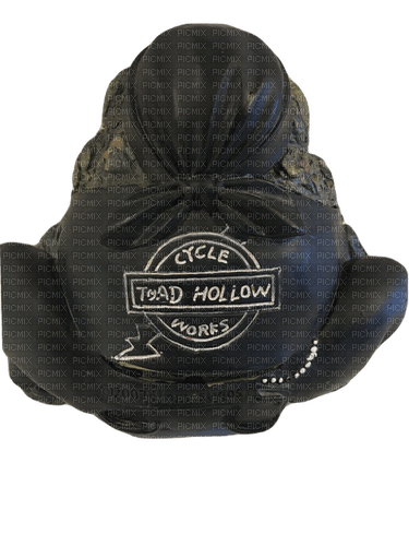 toad hollow biker toad back view - PNG gratuit