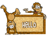 Hello, Monkeys - Nemokamas animacinis gif