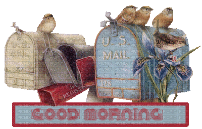 Good Morning Birds on Mailbox for Spring - Gratis animerad GIF