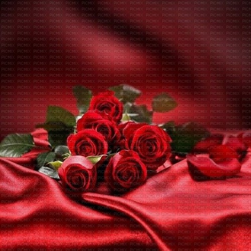 red roses background by nataliplus - gratis png