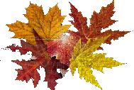 autumn two katrin - Ücretsiz animasyonlu GIF