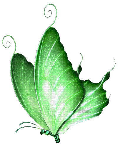 Y.A.M._Fantasy butterfly green - Безплатен анимиран GIF
