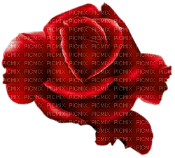 Róża czerwona - png ฟรี