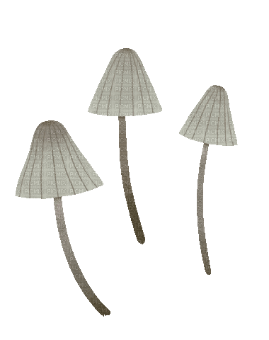 Mushrooms - Bezmaksas animēts GIF