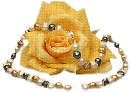 Un rosa y collar - PNG gratuit