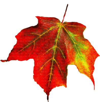 Kaz_Creations  Autumn Deco - zdarma png