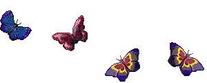 aze papillon - Zdarma animovaný GIF