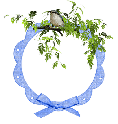 minou-frame-round-bird - png grátis
