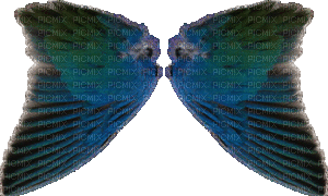 крылья - Bezmaksas animēts GIF