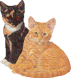 Katze chat cat - GIF animé gratuit