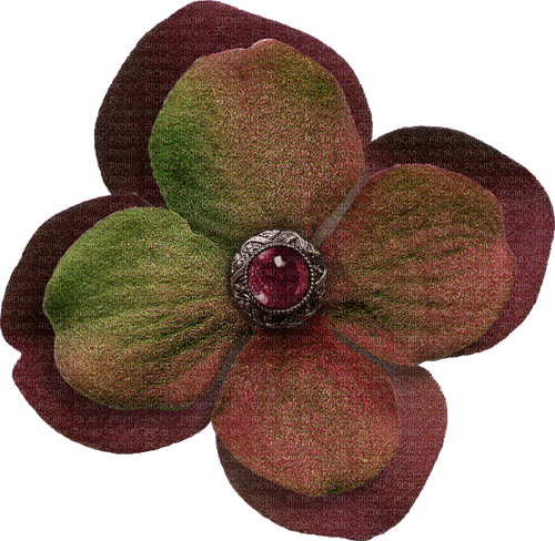 Flower Blume (2) - 免费PNG