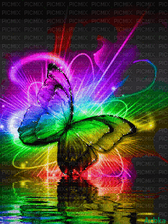 butterfly - Free animated GIF