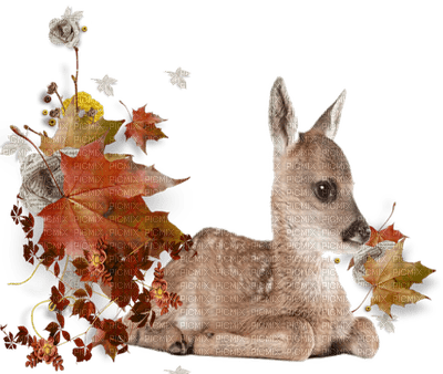 Kaz_Creations Autumn Deco - PNG gratuit