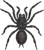 Spiders & Webs - Jitter.Bug.Girl - Bezmaksas animēts GIF