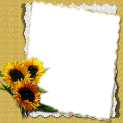 frame cadre flowers - gratis png