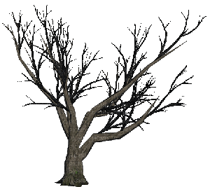 tree - Gratis animerad GIF