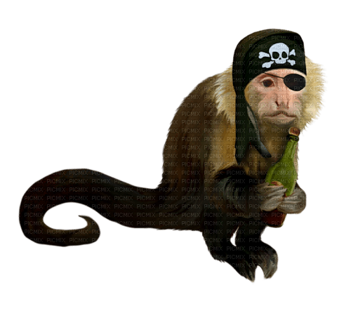 Kaz_Creations  Monkey - PNG gratuit