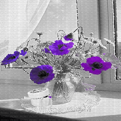 soave background animated room vase poppy - Δωρεάν κινούμενο GIF