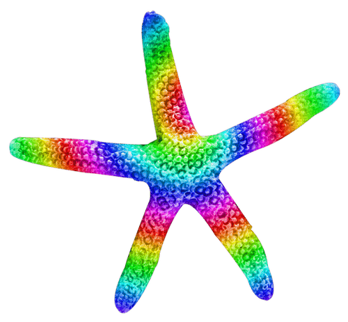 Starfish.Rainbow - besplatni png
