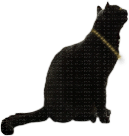 katze cat black - безплатен png