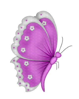 Kaz_Creations Deco Butterfly  Insects Colours - δωρεάν png