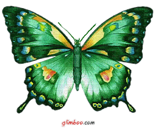 papillion - GIF animado gratis