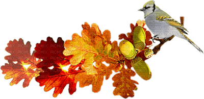 Kathleen Reynolds Autumn Bird Deco - 免费PNG