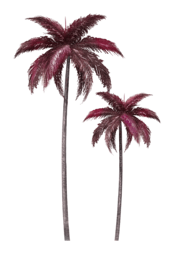 Purple Palm Trees - gratis png