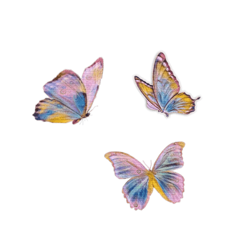 Butterflies ♫{By iskra.filcheva}♫ - безплатен png